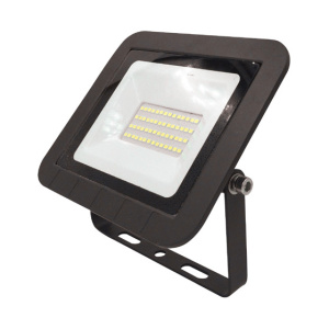 Эра Светодиодный прожектор Eco SMD 30W 6500K